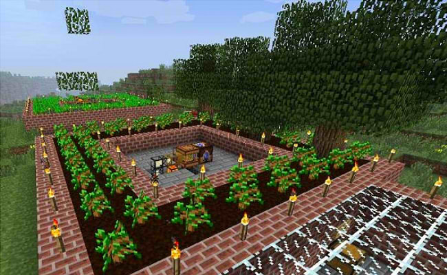 Top 5 Minecraft Mods