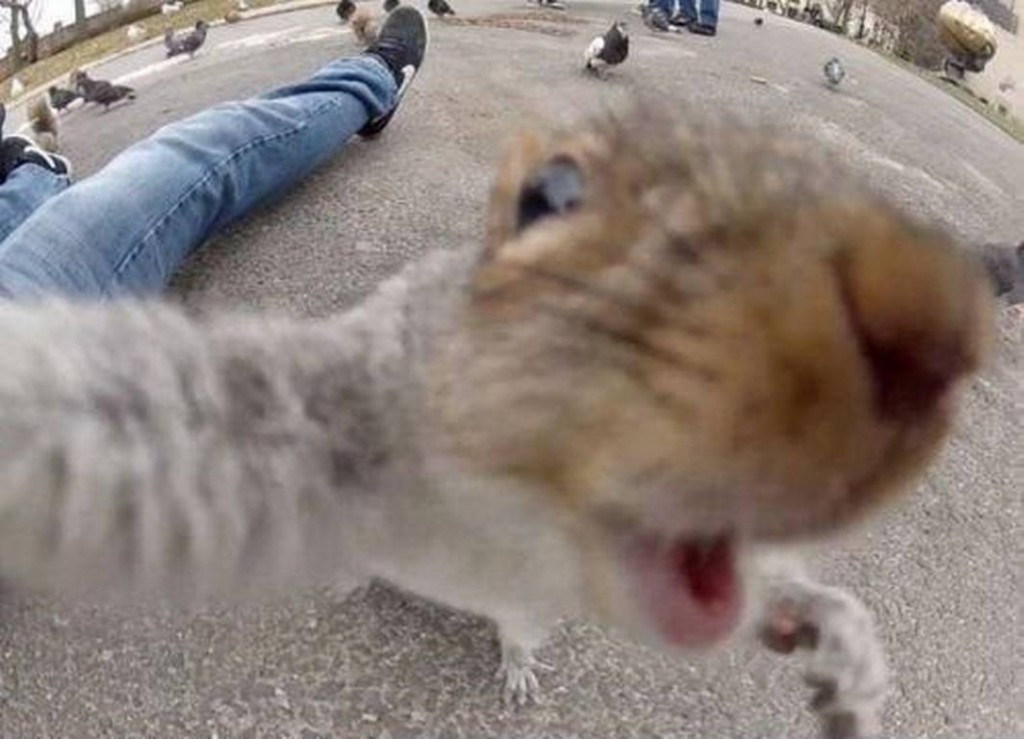 Fish-Eye Up-close selfie