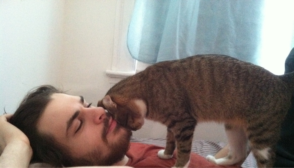 18. If your cat want to headbutt with you it means the cat trusts you