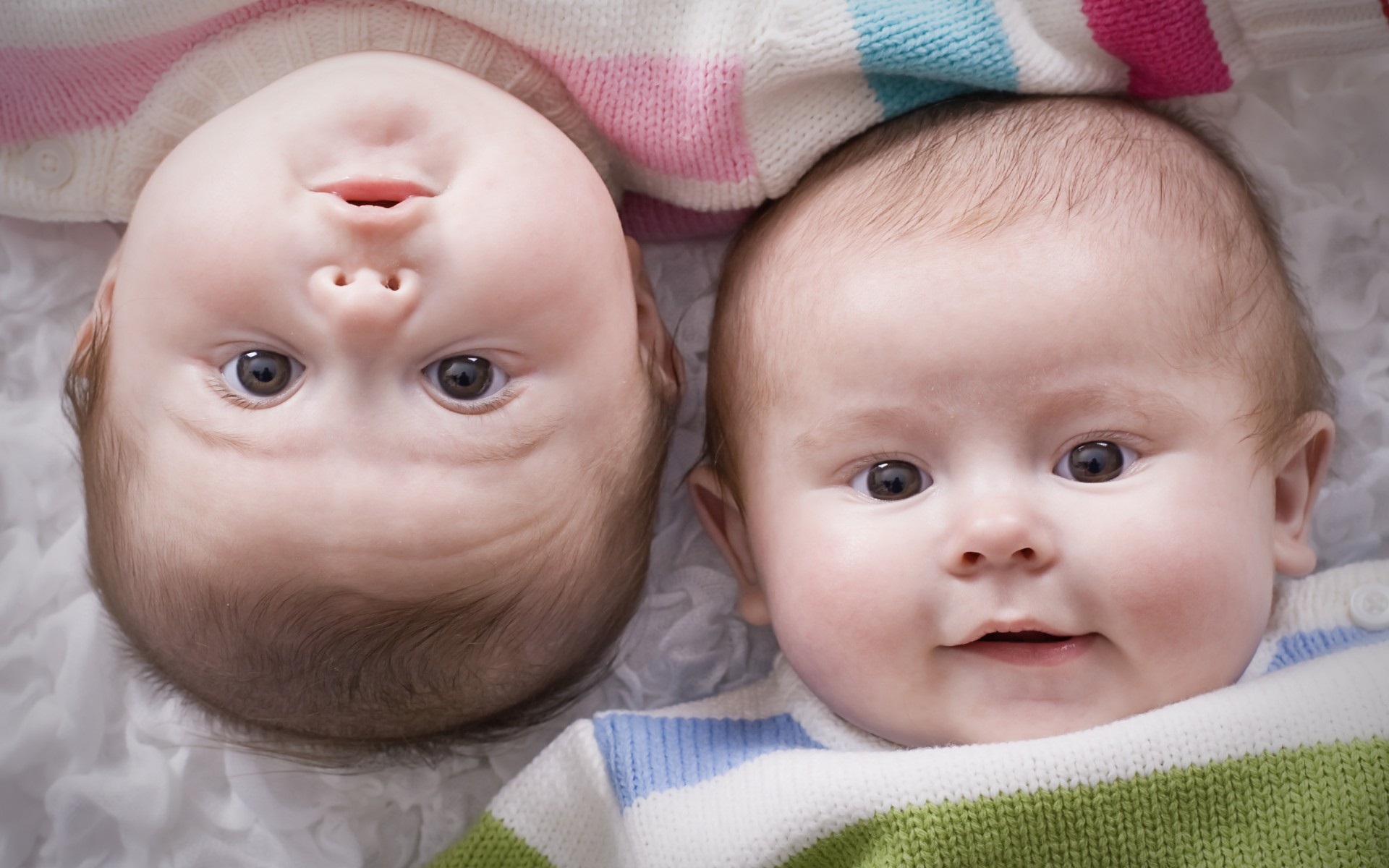 6. Women who eat lots of dairy products have bigger chances for having twins