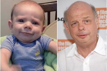 Wallace Shawn Look-alike Baby