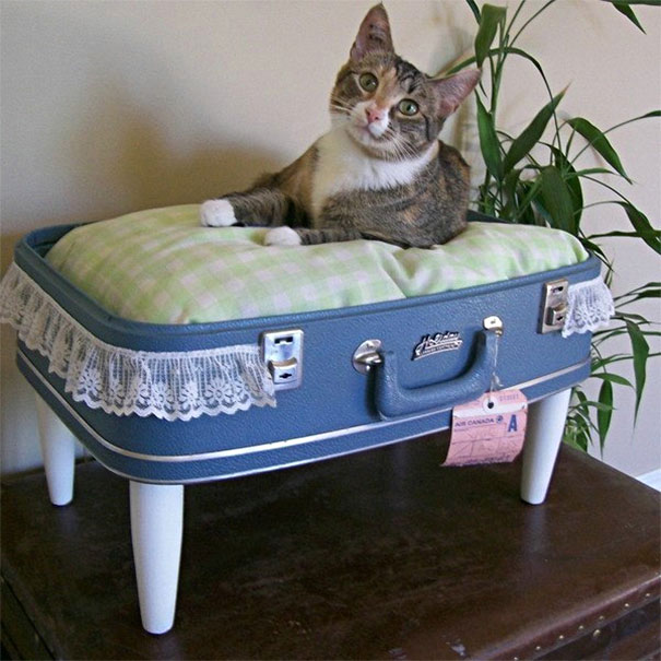 12. Suitcase cat bed