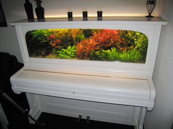 14. Piano aquarium