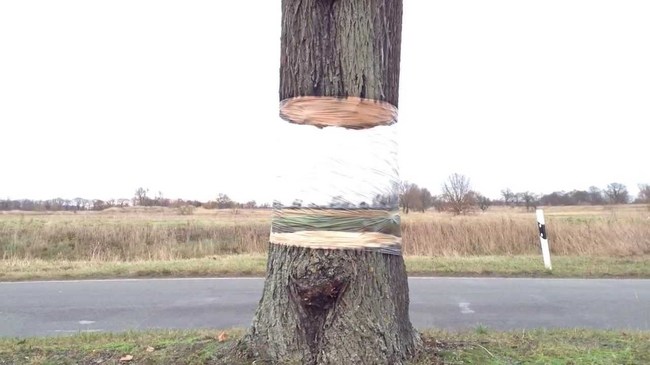 8. Hovering Tree - Mario Schuster