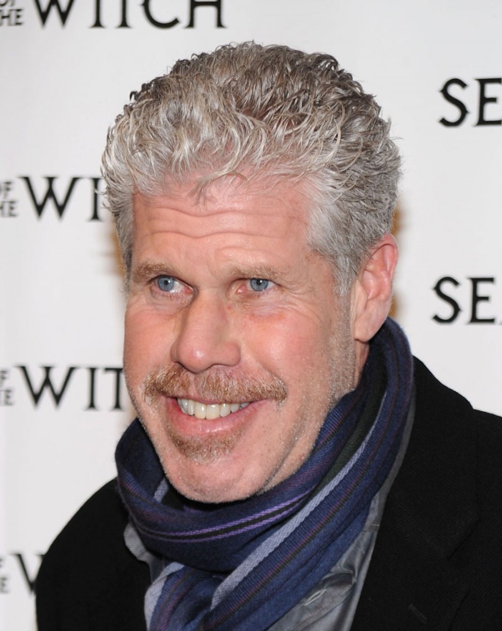 12. Ron Perlman - He voiced Scorpion in Mortal Kombat - Defenders of the Realm