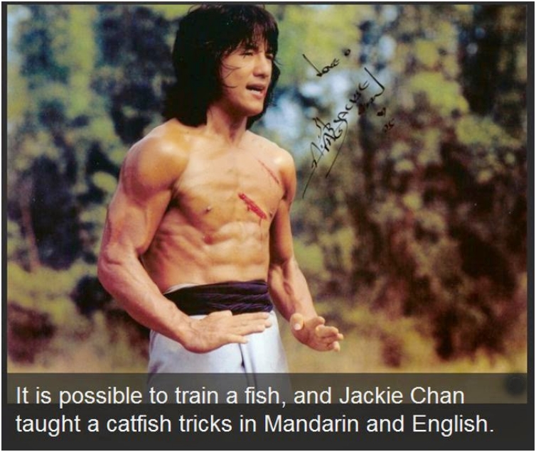 jackie_chan_facts_21