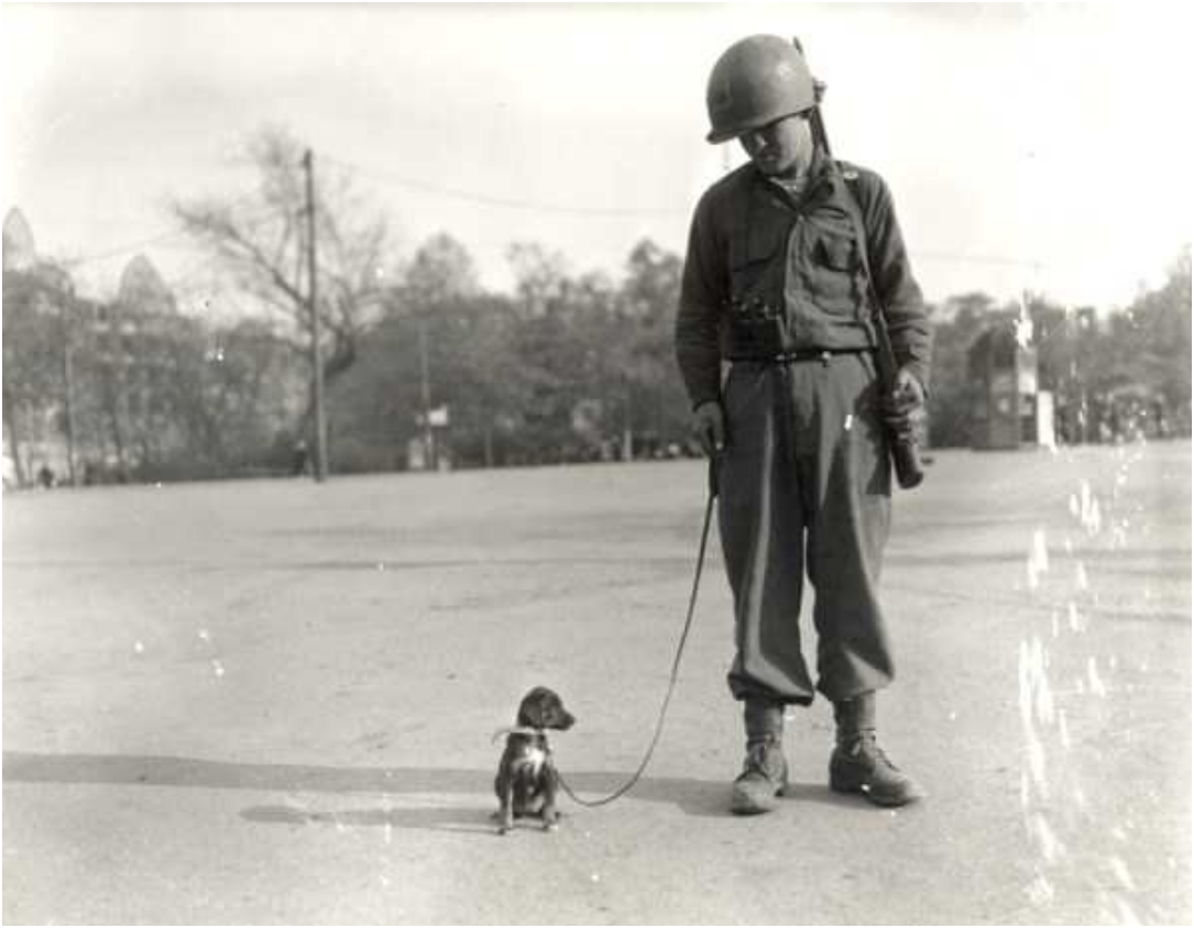 silly-wwii-pictures-1