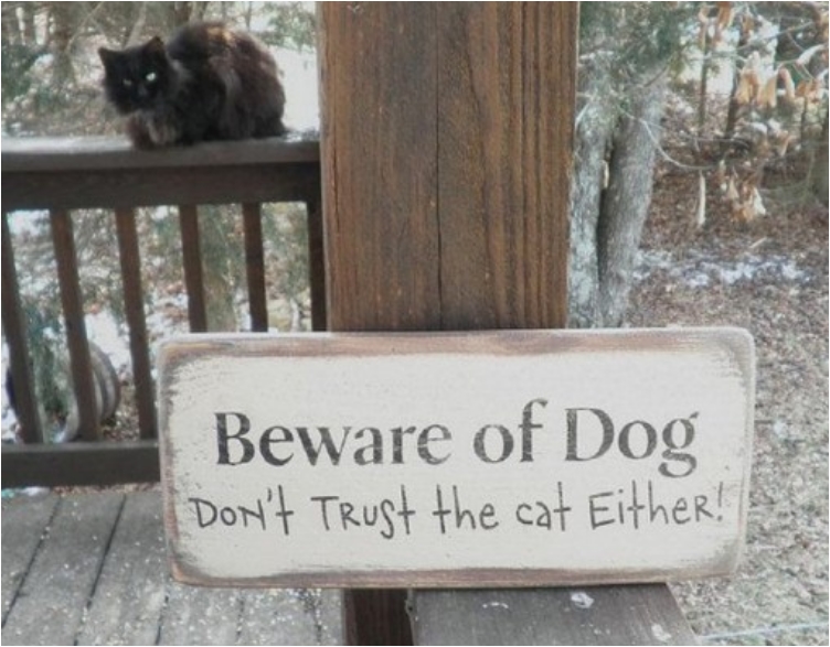 top-10-funny-beware-of-dog-signs-8