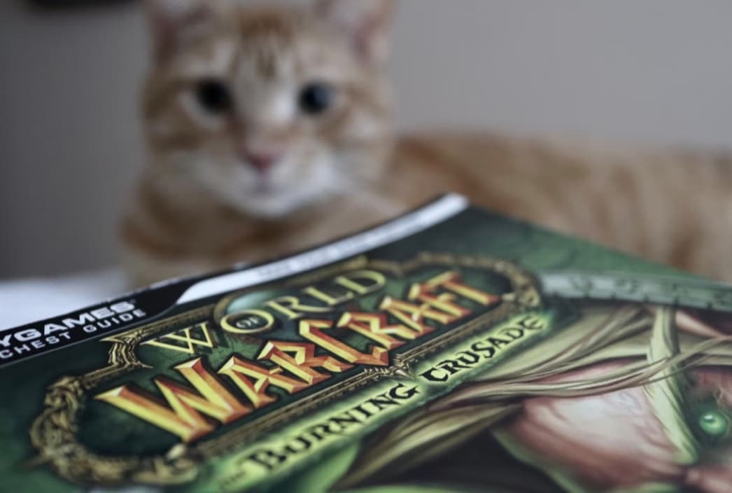 Brilliant Advertising Strategy Or Luck? — Why Is World of Warcraft Still So Popular?