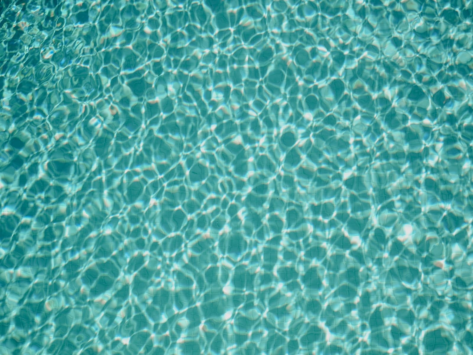 the water is reflecting the sunlight on the surface