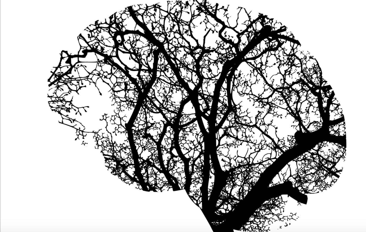 Navigating Mental Health in the Digital Age: Challenges and Solutions