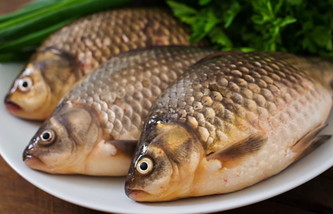 How to Store and Preserve Fish Jerky?