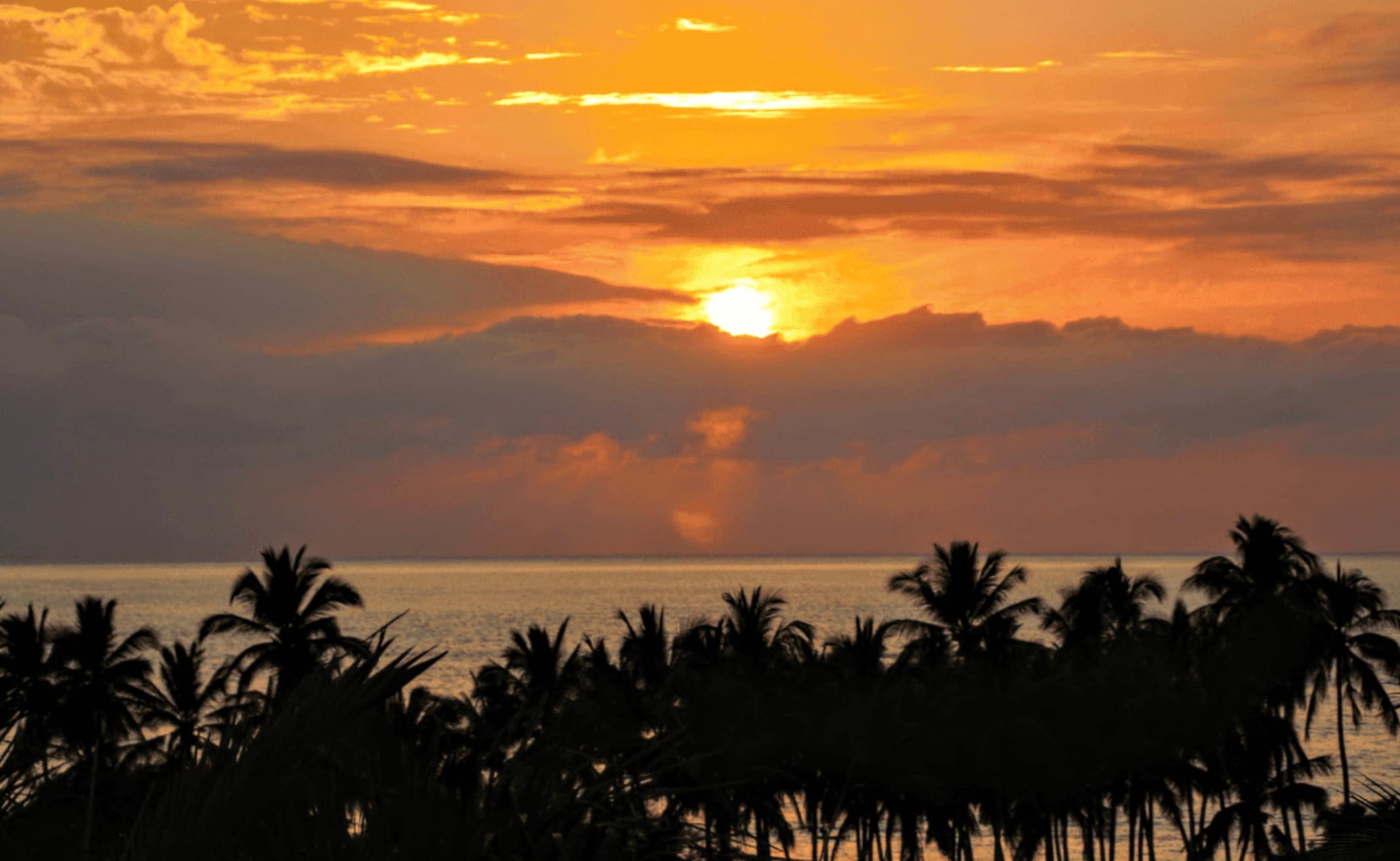 Discover the Best Vacation Rentals in Bahía de Banderas