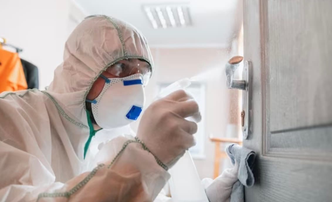 What Role Do Pest Assessments Play in Achieving Effective Pest Treatment?