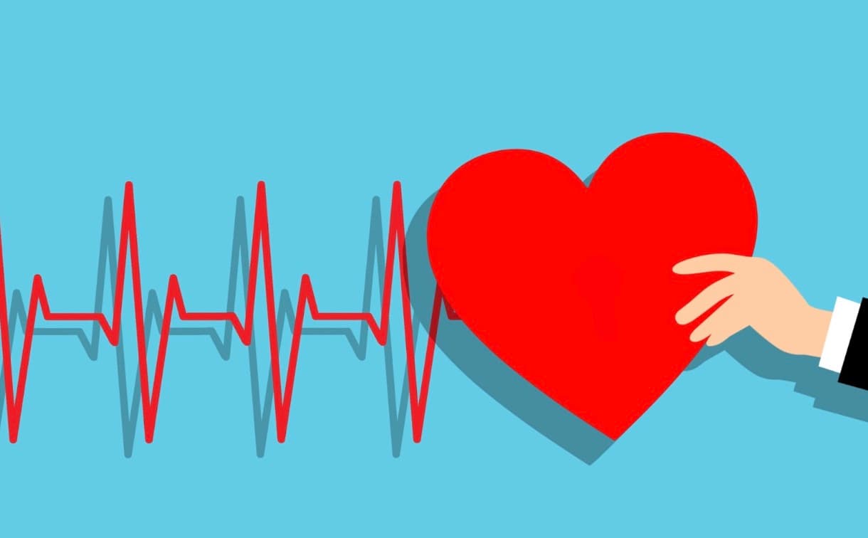 Comprehensive Cardiac Care: Procedures and Treatments