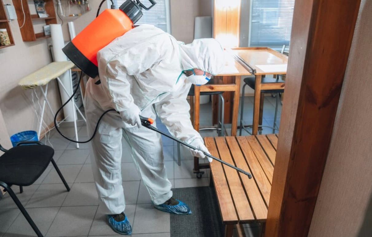 The Ultimate Guide to Restaurant Pest Management