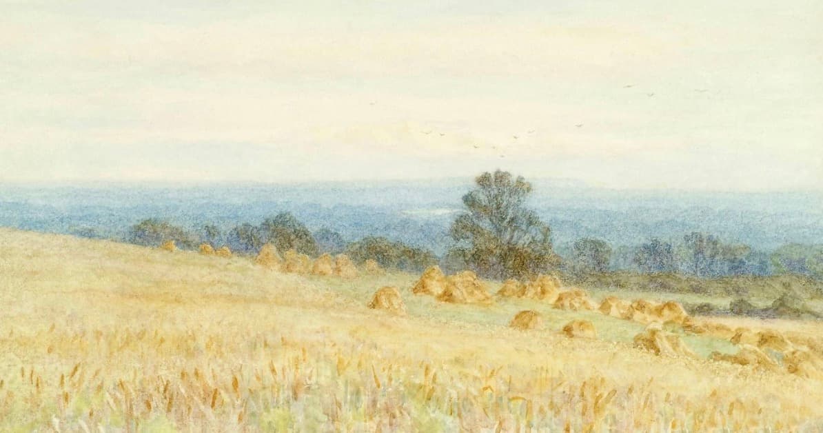 Print purchase: What you should know before buying fine art prints and engravings