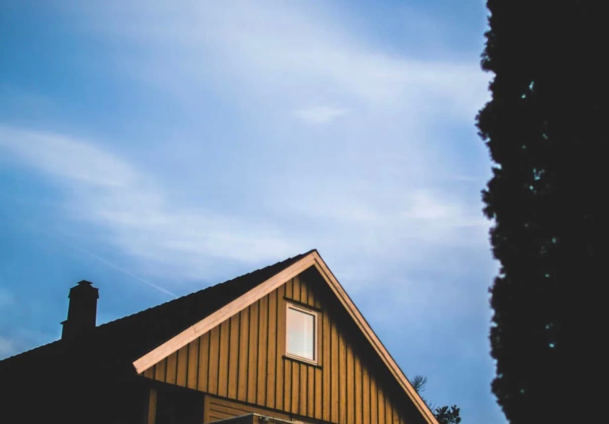 What to Do When You Notice Roof Damage