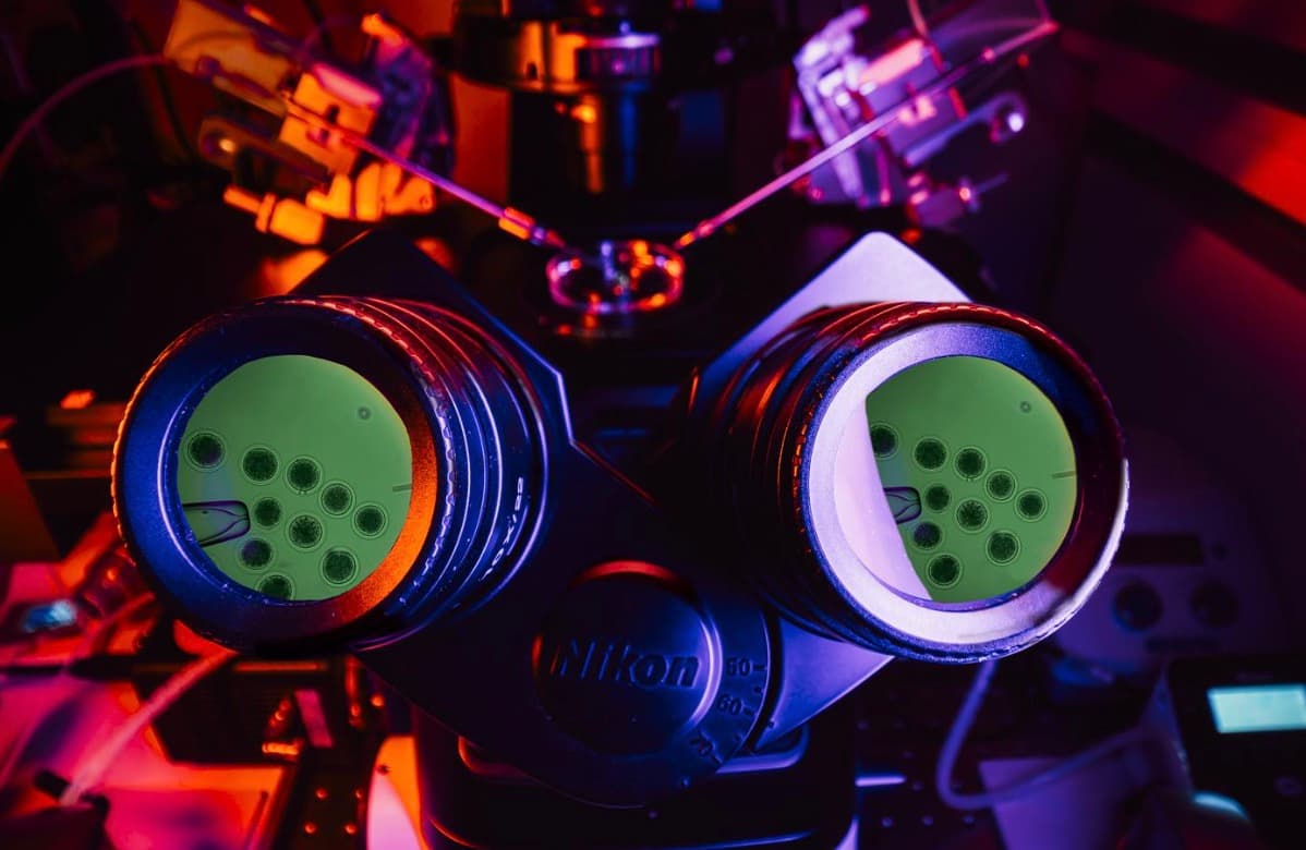 Conservation Gets a Lifeline: Colossal Foundation’s Species Reintroduction Fund Takes Flight