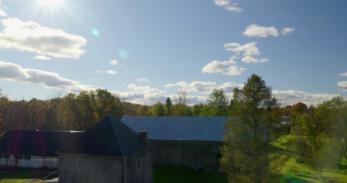 More Than a Pretty View: 7 Must-Have Features for Memorable Wedding Venues