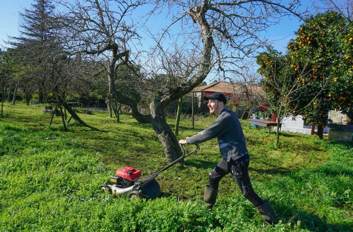 Matching Belts to Your Lawn Mower Model