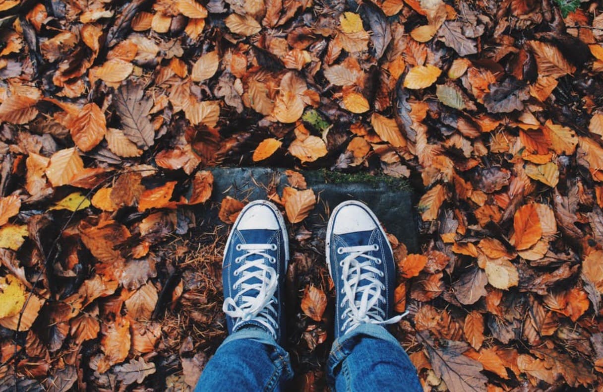 Essential Yard Maintenance Tasks You Should Never Skip