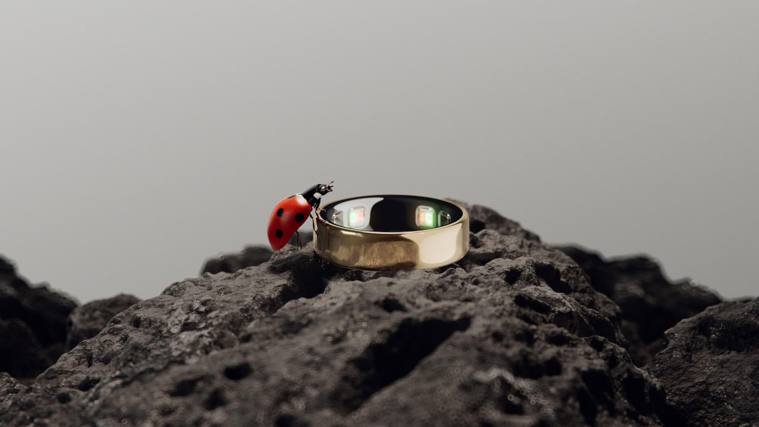 Oura Ring 5 Is Smaller, Lighter, and Gets an AI Health Coach