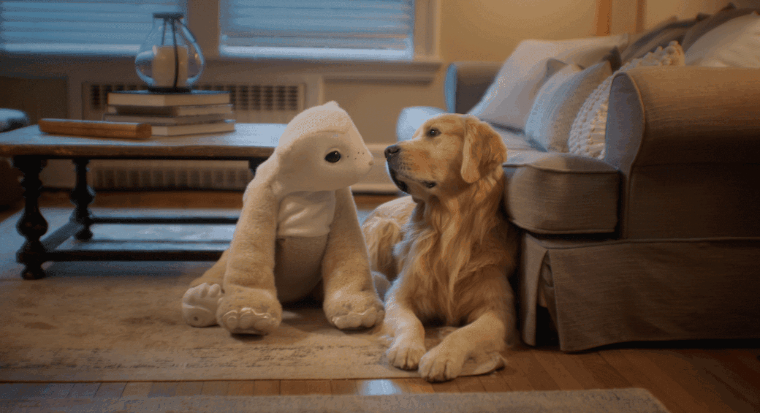 Roomba Creator Returns With an AI Robot Pet Dog