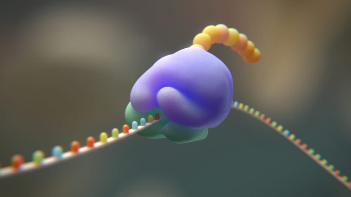 Scientists Try to Shrink Life's Building Blocks From 20 to 19