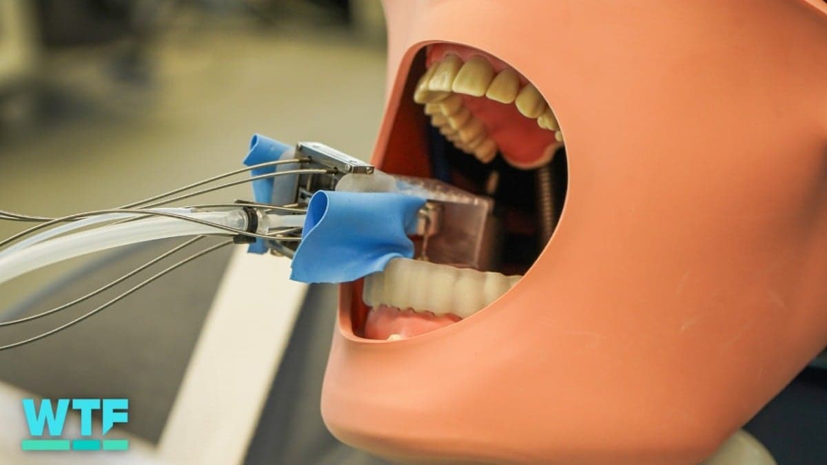 New Dental Robot Drills Teeth by Clamping Onto Them