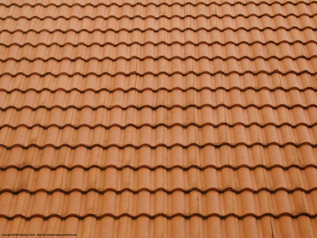 8. The more birds defecate on your roof the more money you will have. Only in Russia!