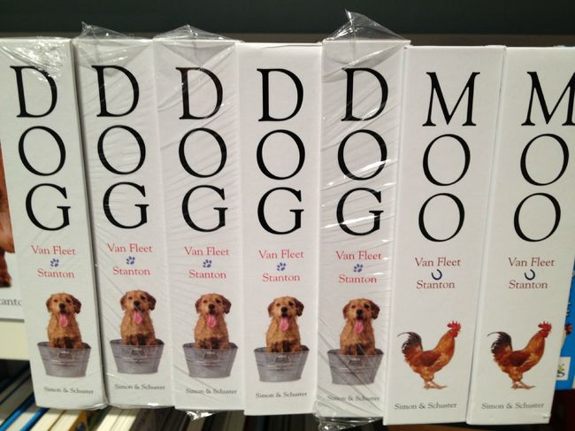 Since when the rooster says moo_