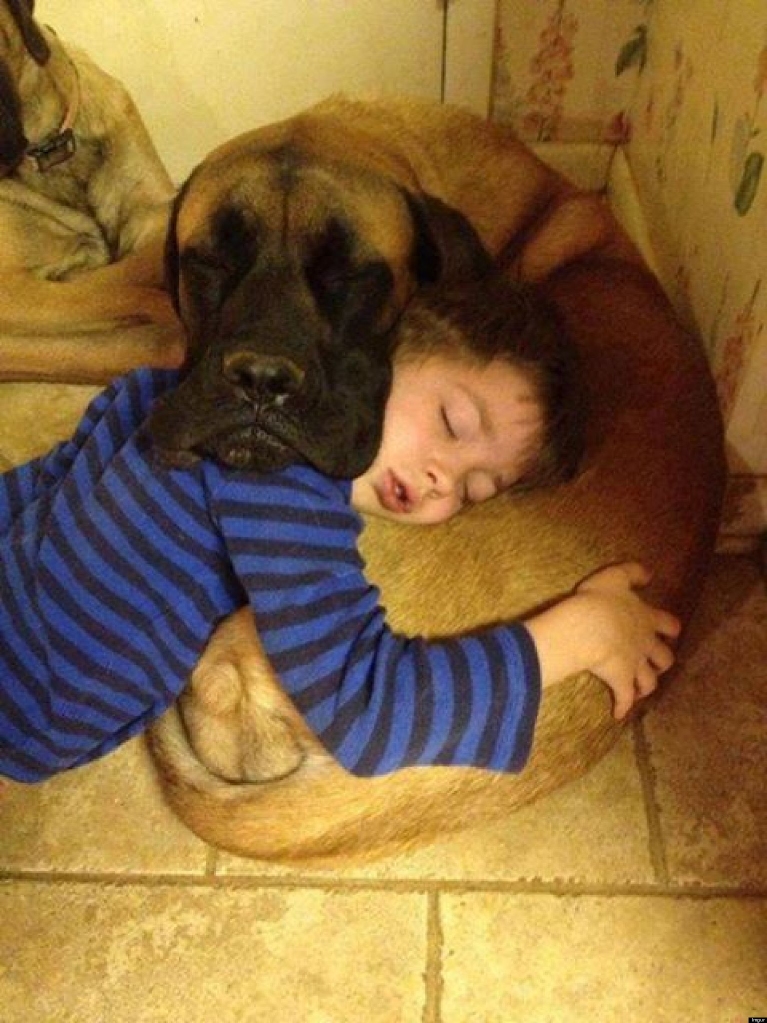 Kids Can Sleep Tight Knowing Their Dog Friend Watches