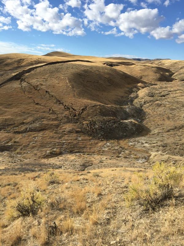 12065887_10153079815742455_1600172282489860262_n