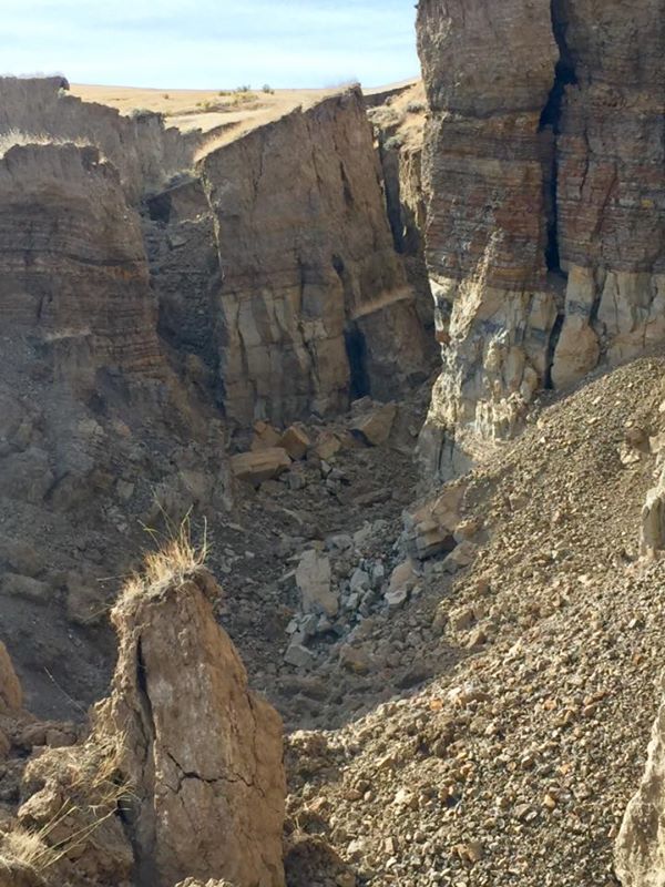 12188920_10153079816092455_1060956467181323617_n