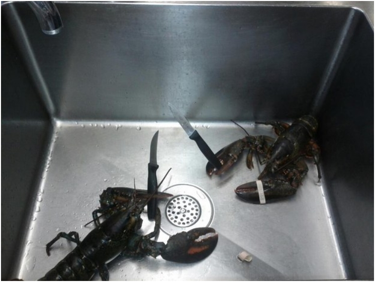 enhanced-10134-1412975347-11