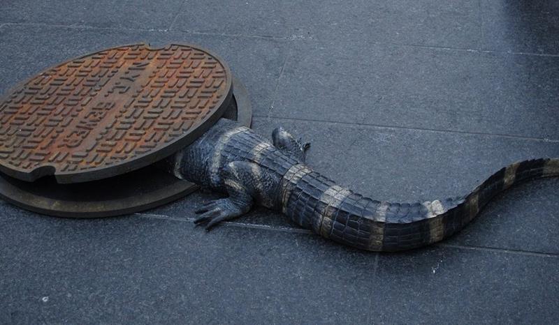 25-Pictures-Proving-New-York-is-the-Craziest-13