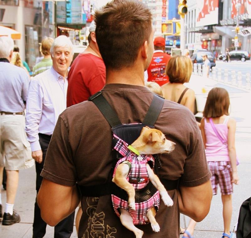 25-Pictures-Proving-New-York-is-the-Craziest-20