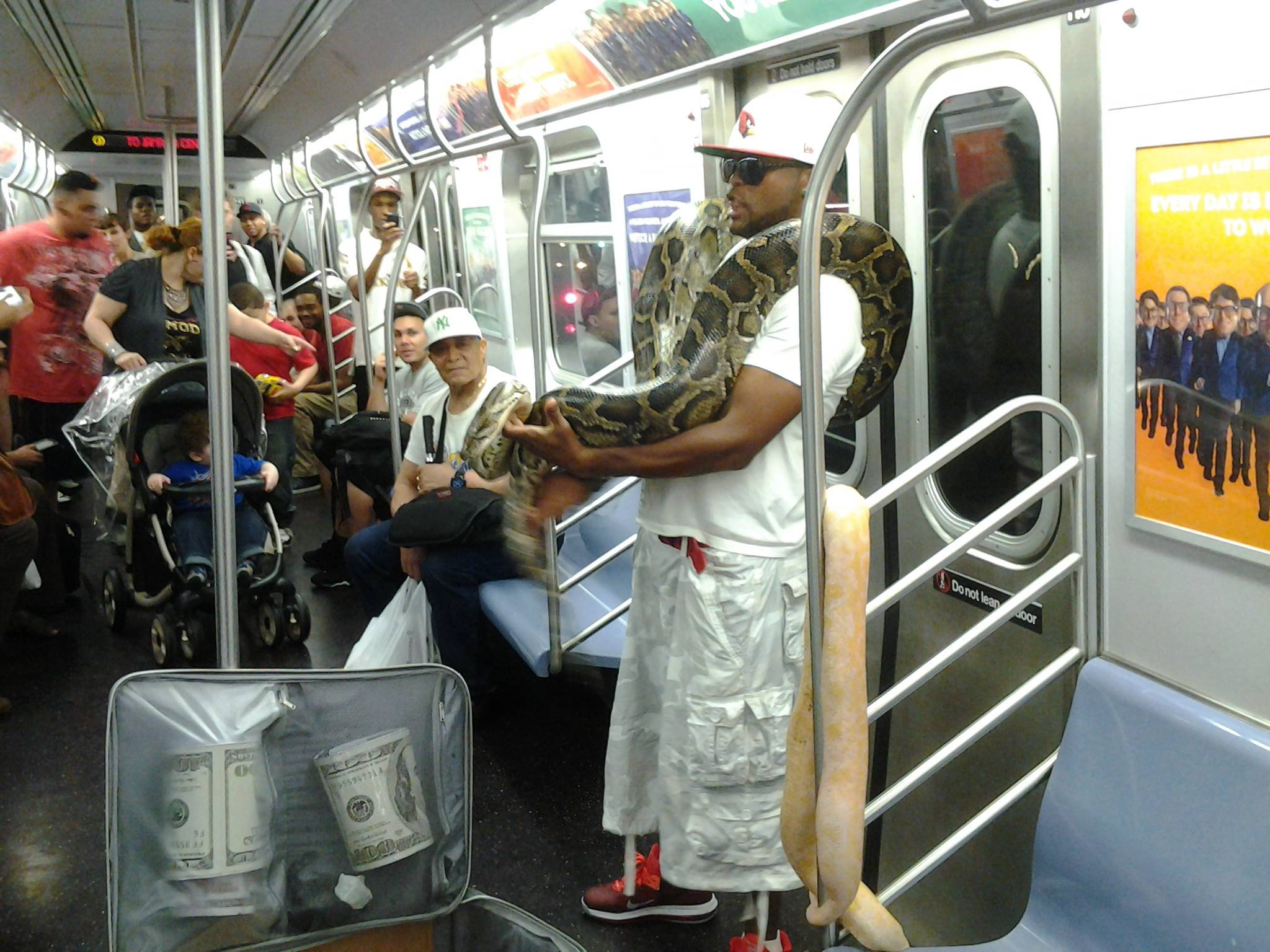 ec31c4f7a117537319c207c4d06231f4-giant-snakes-on-subway