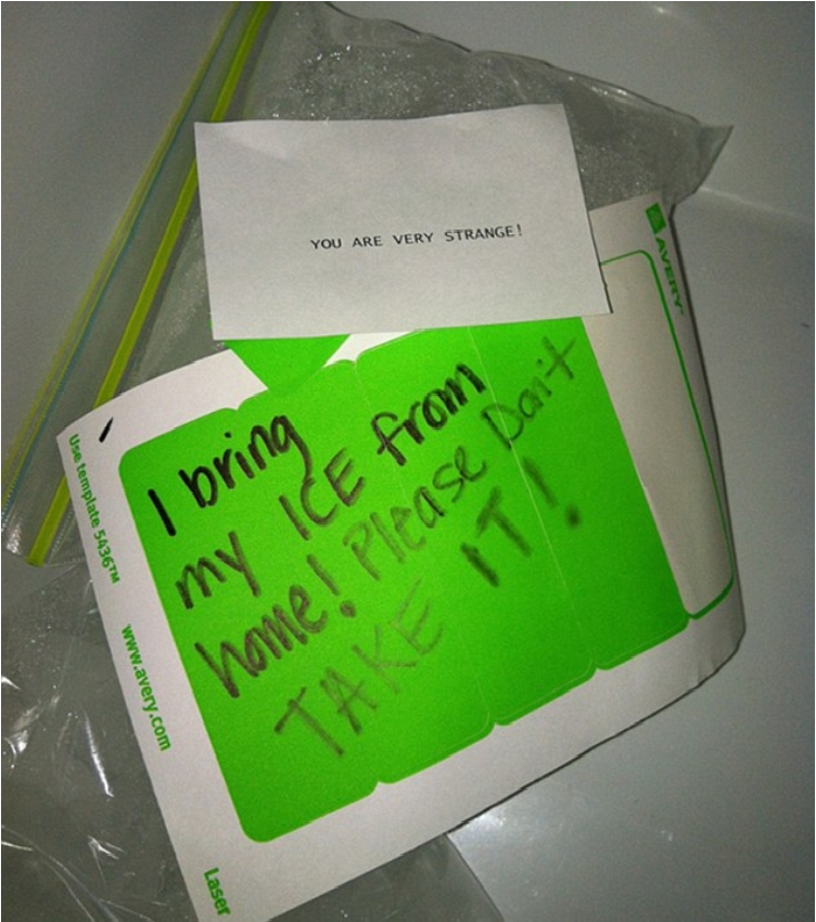 34E06C4B00000578-3623439-image-a-25_1464955894348