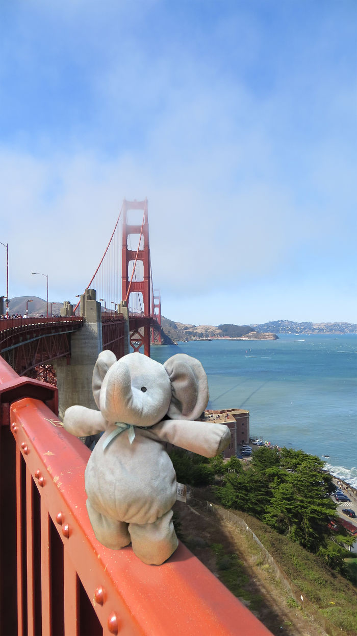 ElephantinSF-577b5abf1344c__700