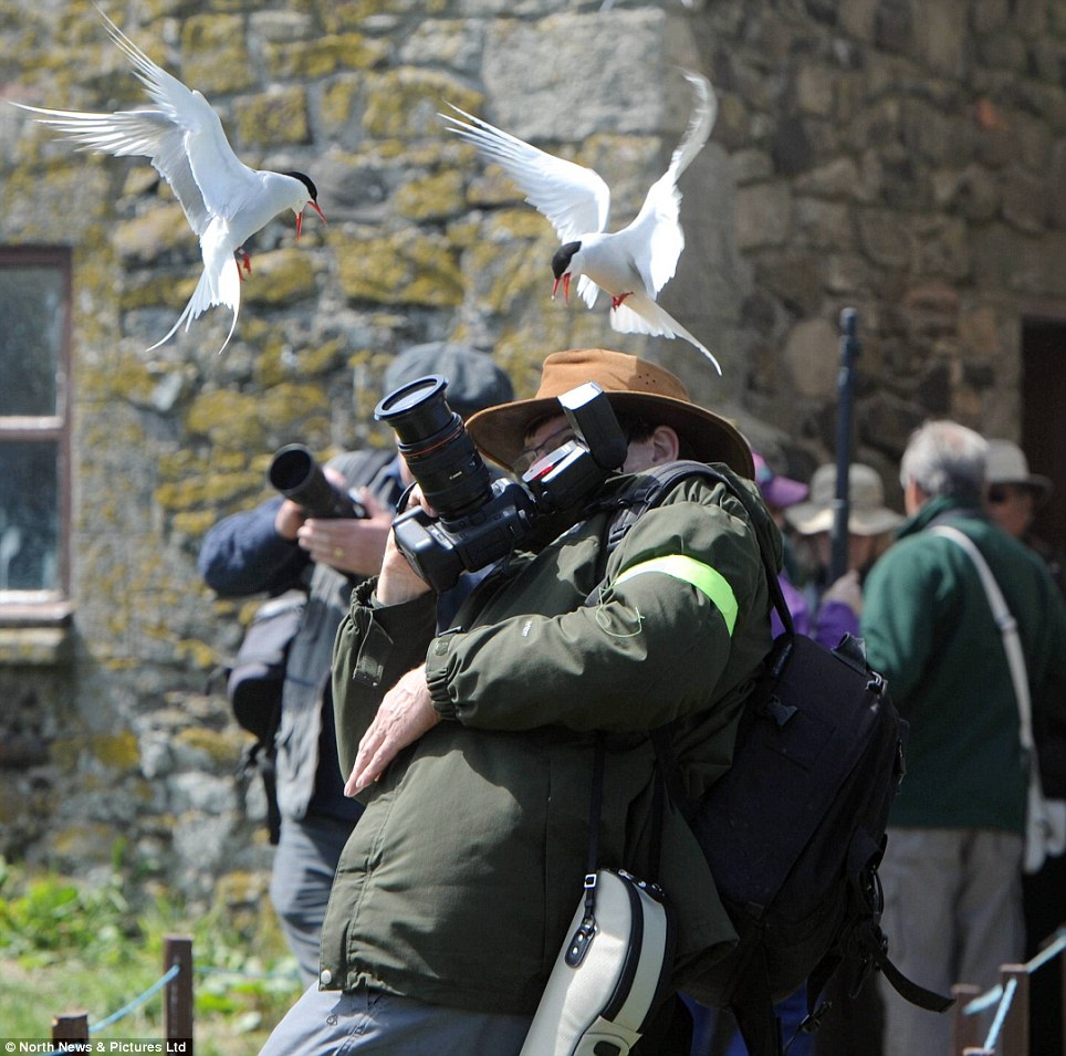 article-2336823-1A2D5574000005DC-643_964x955