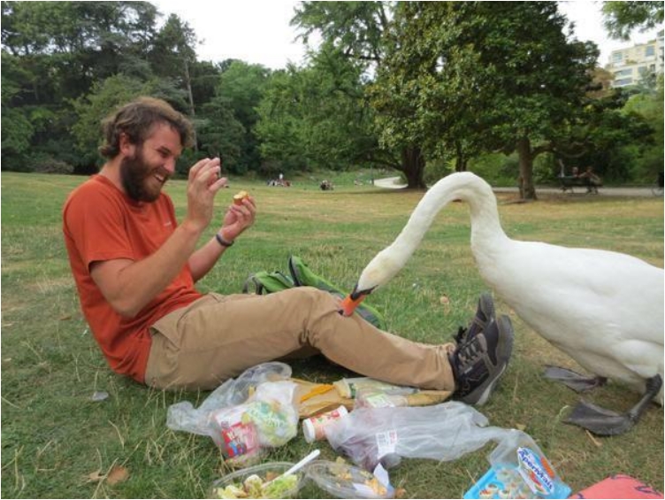 birds-being-aholes-20-photos-11