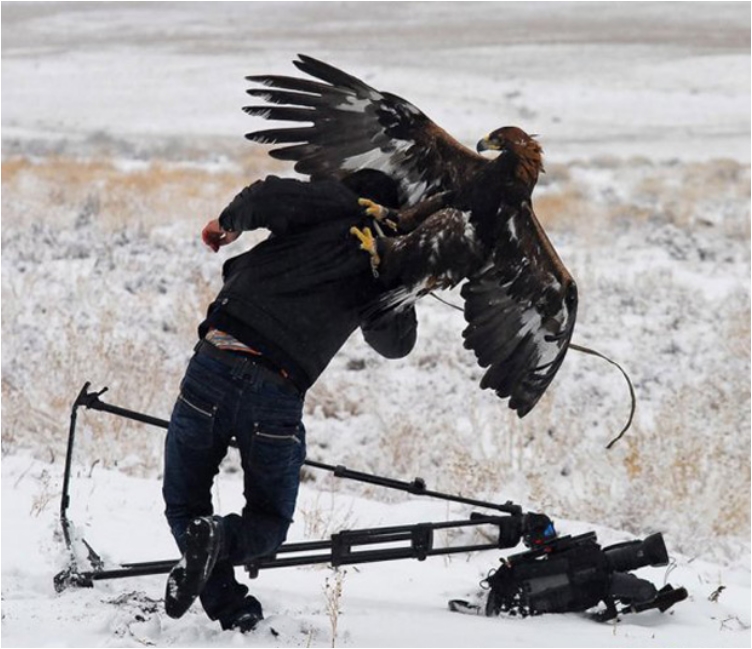 funny-hilarious-pictures-when-birds-suddenly-attack-people-pic-pictures-images-photos-9