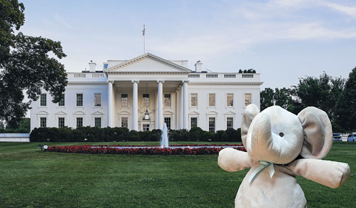 lost-toy-travel-world-photoshop-battle-2-577a2d763a22b__700