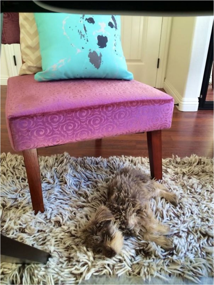 1920487_10204280843404157_5555992873934929958_n__605