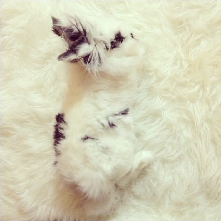 2ab6abec7cb611e38e04127d69c3cd5e_8__605