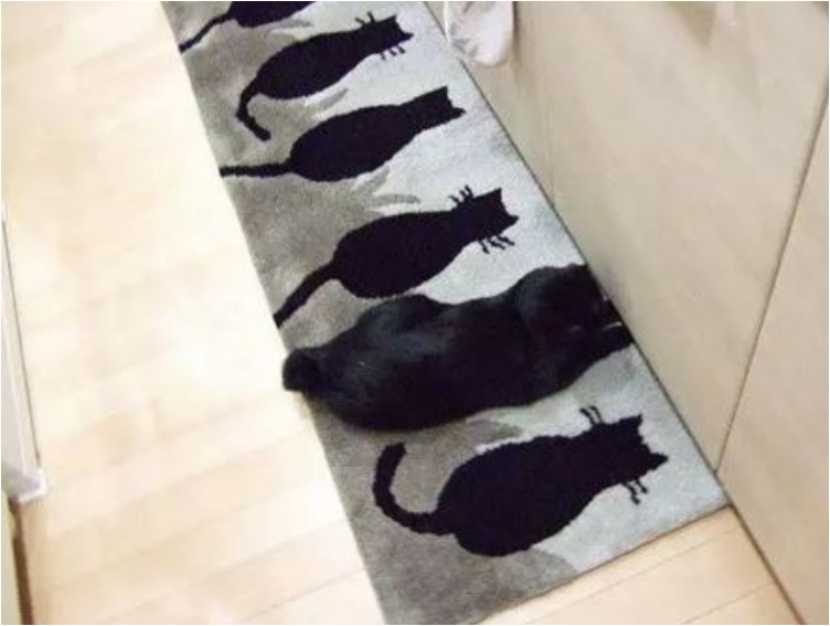 EMGNblendedanimals12