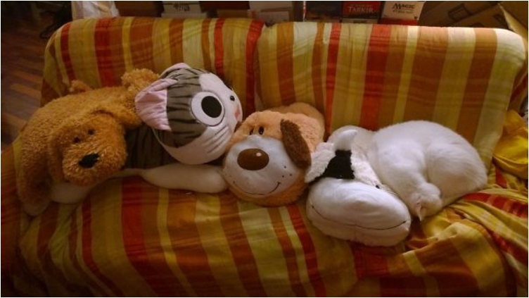 IMG-20141109-WA00011__605