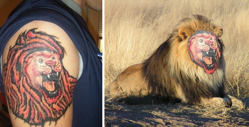 cdad54dd446e46de64539ffab5cd839c